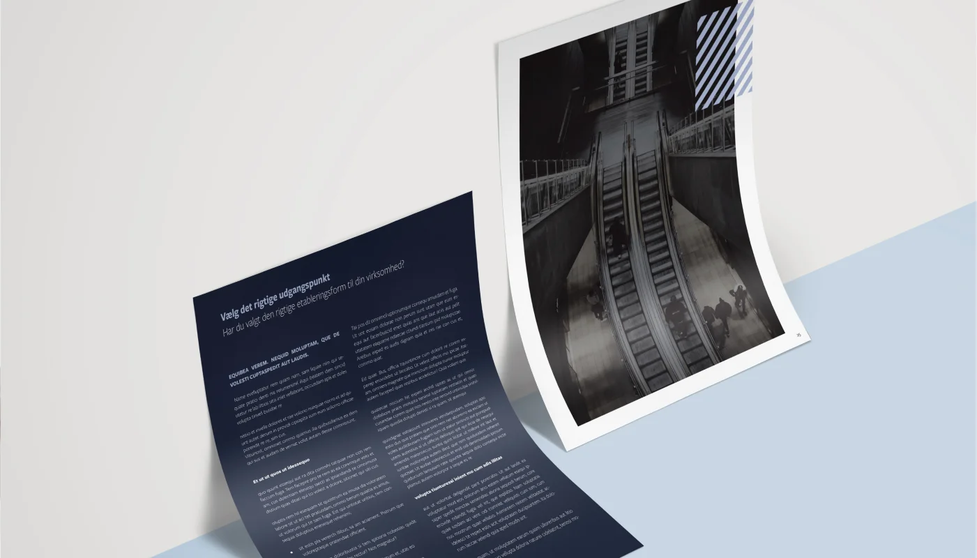 A4 Tryksager for Dansk-Tysk Handelskammer | Rain Creative