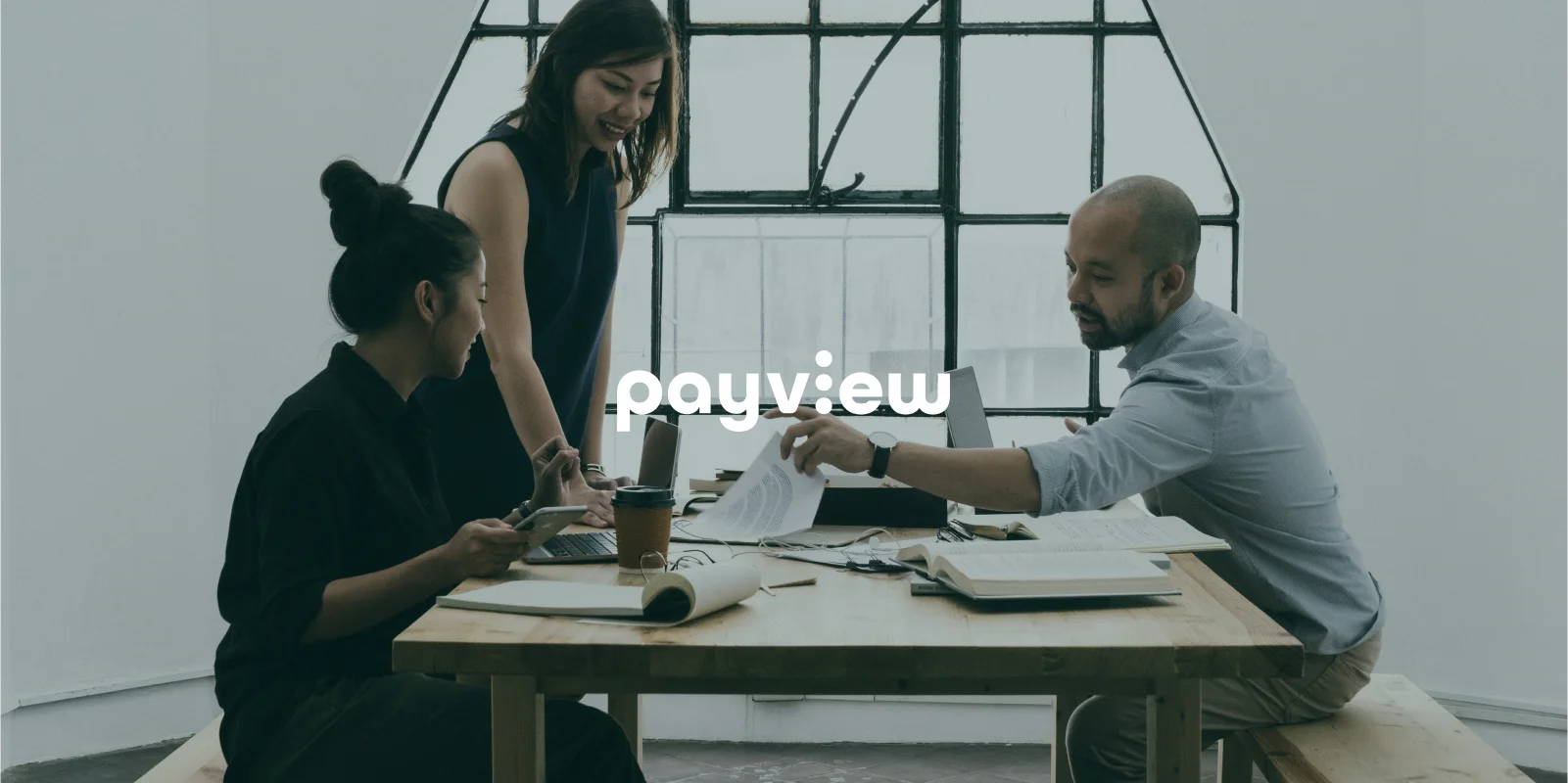Payview banner - Visuel identitet | Rain Creative
